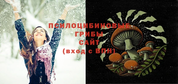 бошки Балахна