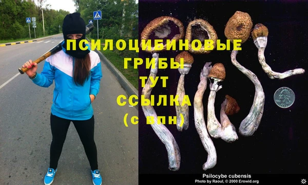 гидропоника Балабаново
