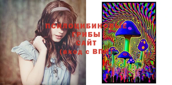 гидропоника Балабаново