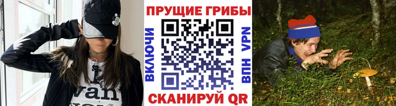 Галлюциногенные грибы Magic Shrooms  где купить   Раменское 